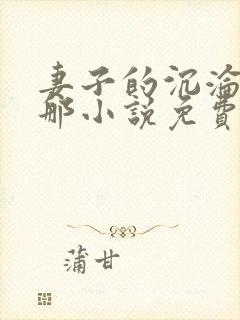 妻子的沉沦之路那小说免费阅读