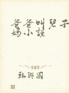 爸爸叫儿子日妈妈小说封面