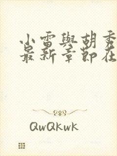 小雷与胡秀英的最新章节在线阅读小说