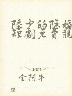 陆少的隐婚罪妻短剧免费观看