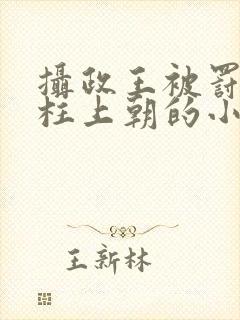 摄政王被罚带玉柱上朝的小说