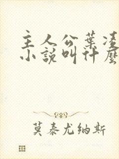 主人公叶凌天的小说叫什么名字