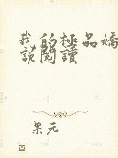 我的极品娇妻小说阅读