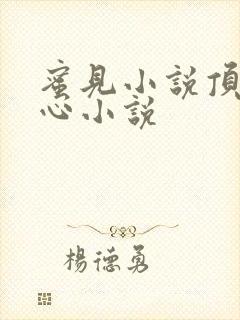 蜜见小说顶级虐心小说