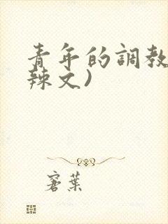 青年的调教(h辣文)封面
