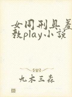 女同刑具羞耻调教play小说封面