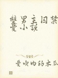 双男主囚禁强制爱小说