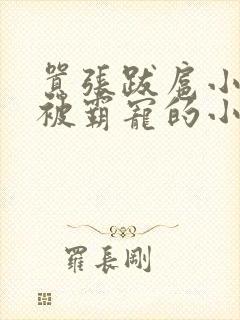 嚣张跋扈小少爷被霸宠的小说封面