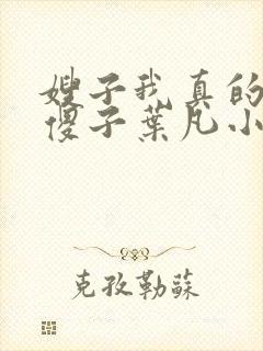 嫂子我真的不是傻子叶凡小说 原名