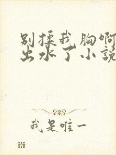 别揉我胸啊嗯～出水了小说