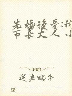 先婚后爱:我的市长大人 小说封面