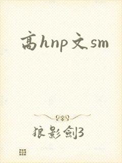 高hnp文sm封面