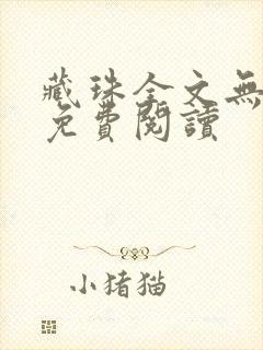 藏珠全文无弹窗免费阅读