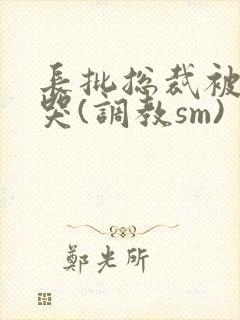 长批总裁被++哭(调教sm)封面