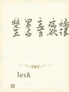 双男主病娇文男主占有欲很强封面