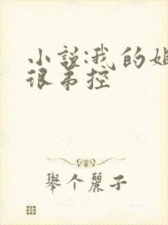 小说:我的姐姐很弟控