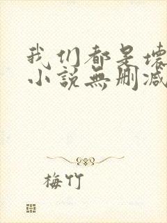 我们都是坏孩子小说无删减正版在线阅读