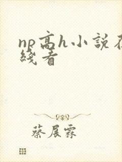 np高h小说在线看