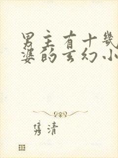 男主有十几个老婆的玄幻小说