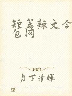 短篇辣文合集书包网