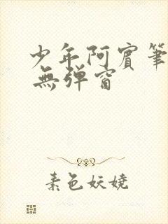 少年阿宾笔趣阁 无弹窗