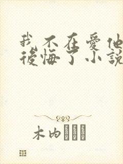 我不在爱他后他后悔了小说免费阅读