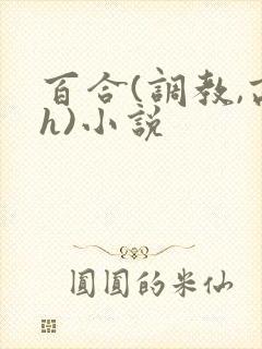 百合(调教,高h)小说