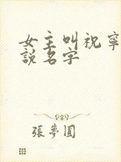 女主叫祝宁的小说名字