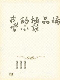 我的极品娇妻沈雪小说封面