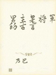 男主是将军很虐的古言