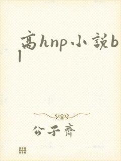 高hnp小说bl