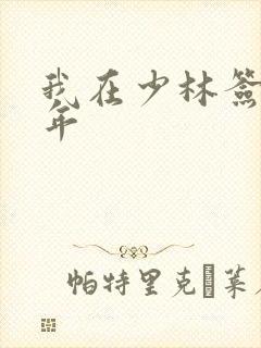 我在少林签到万年封面