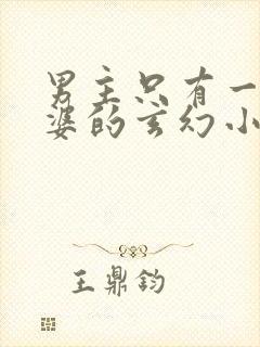 男主只有一个老婆的玄幻小说