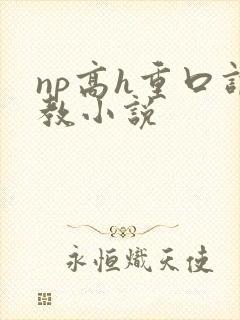 np高h重口调教小说封面