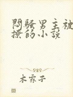 闷骚男主被女主撩的小说