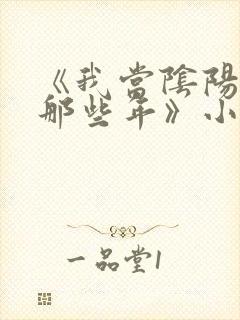 《我当阴阳先生那些年》小说