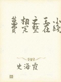 万相之王小说免费完整在线阅读