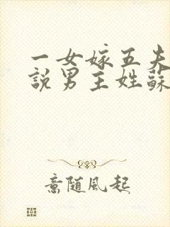 一女嫁五夫的小说男主姓苏封面