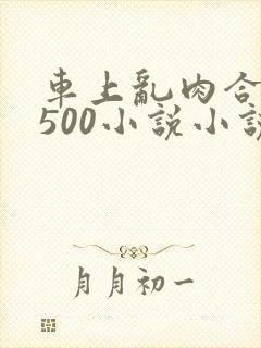 车上乱肉合集乱500小说小说