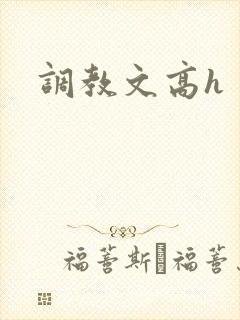 调教文高h