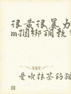 很黄很暴力的sm捆绑调教视频网站