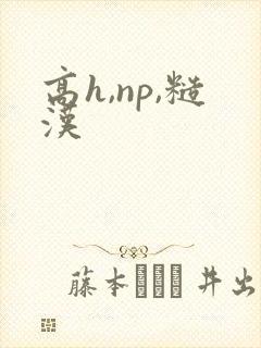 高h,np,糙汉
