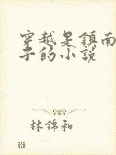 穿越是镇南王世子的小说