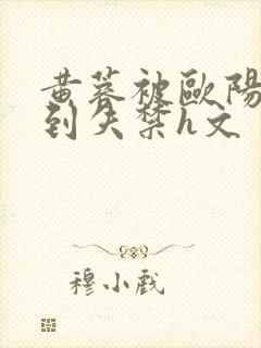 黄蓉被欧阳克肉到失禁h文封面