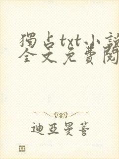 独占txt小说全文免费阅读