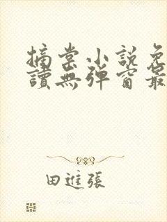 摘棠小说免费阅读无弹窗最新章节