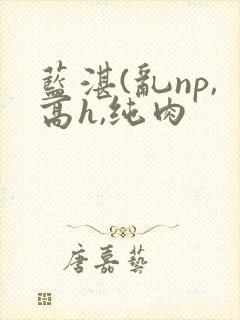 蓝湛(乱np,高h,纯肉
