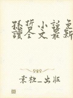 孙哲小说免费阅读全文最新章节