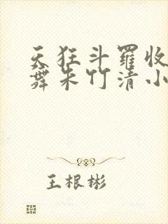 天狂斗罗收服小舞朱竹清小说封面