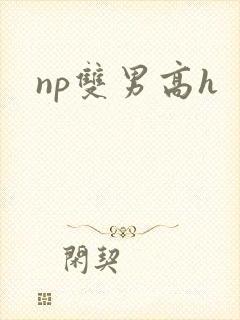 np双男高h